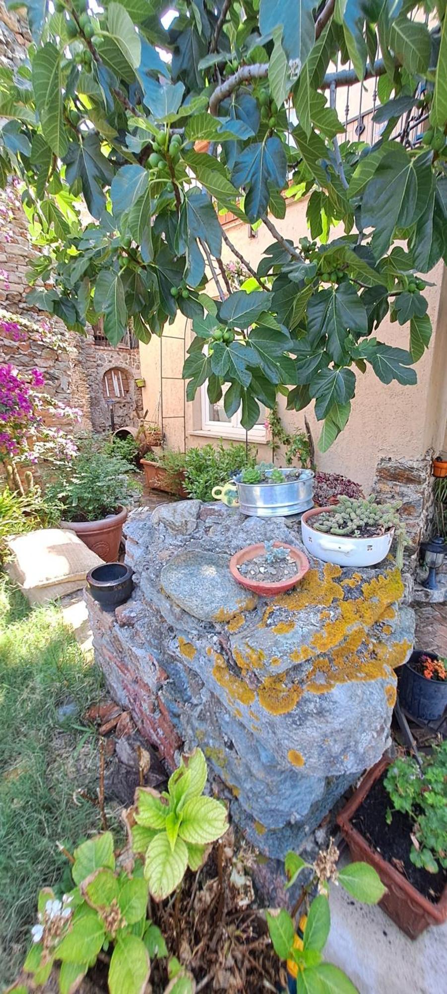 B&B L' Antica Macina Quiliano Eksteriør billede
