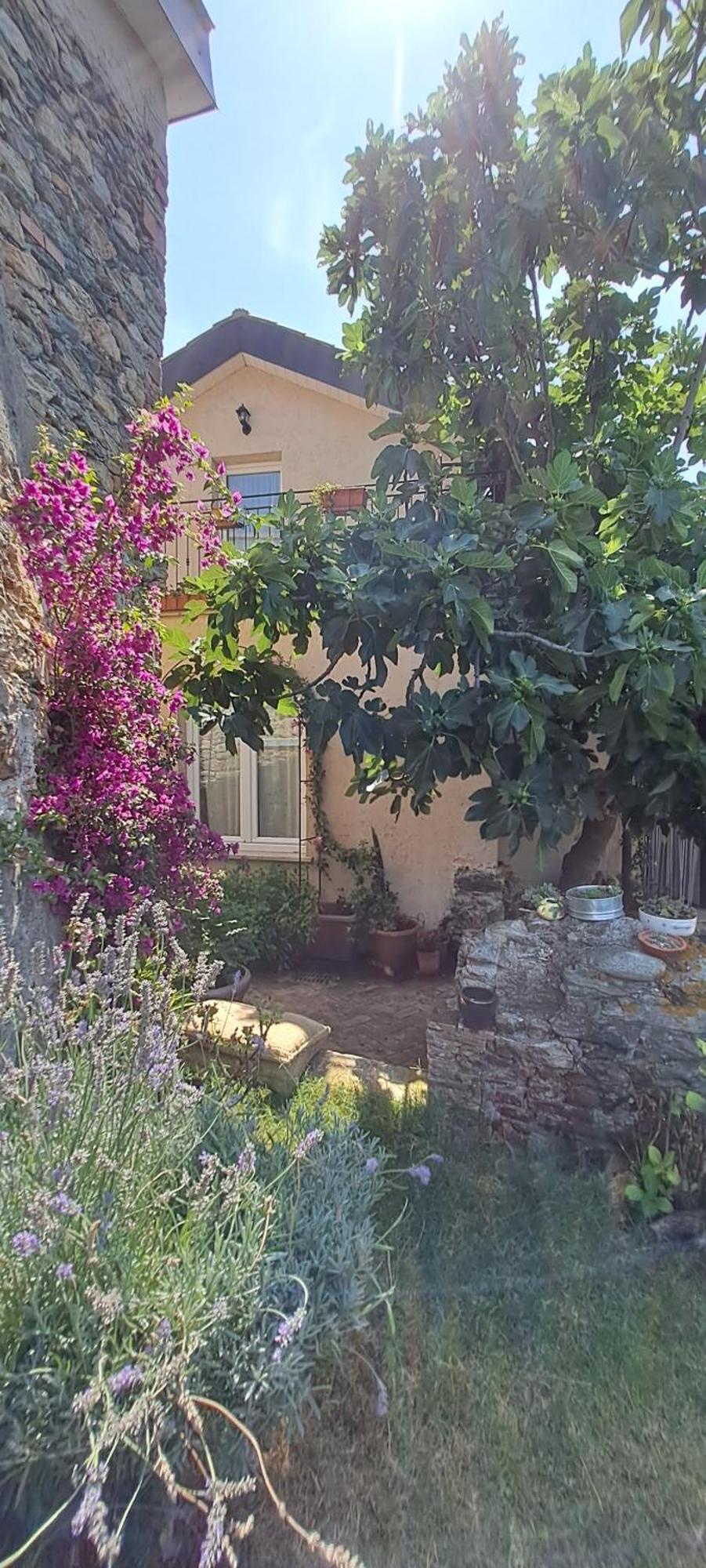 B&B L' Antica Macina Quiliano Eksteriør billede